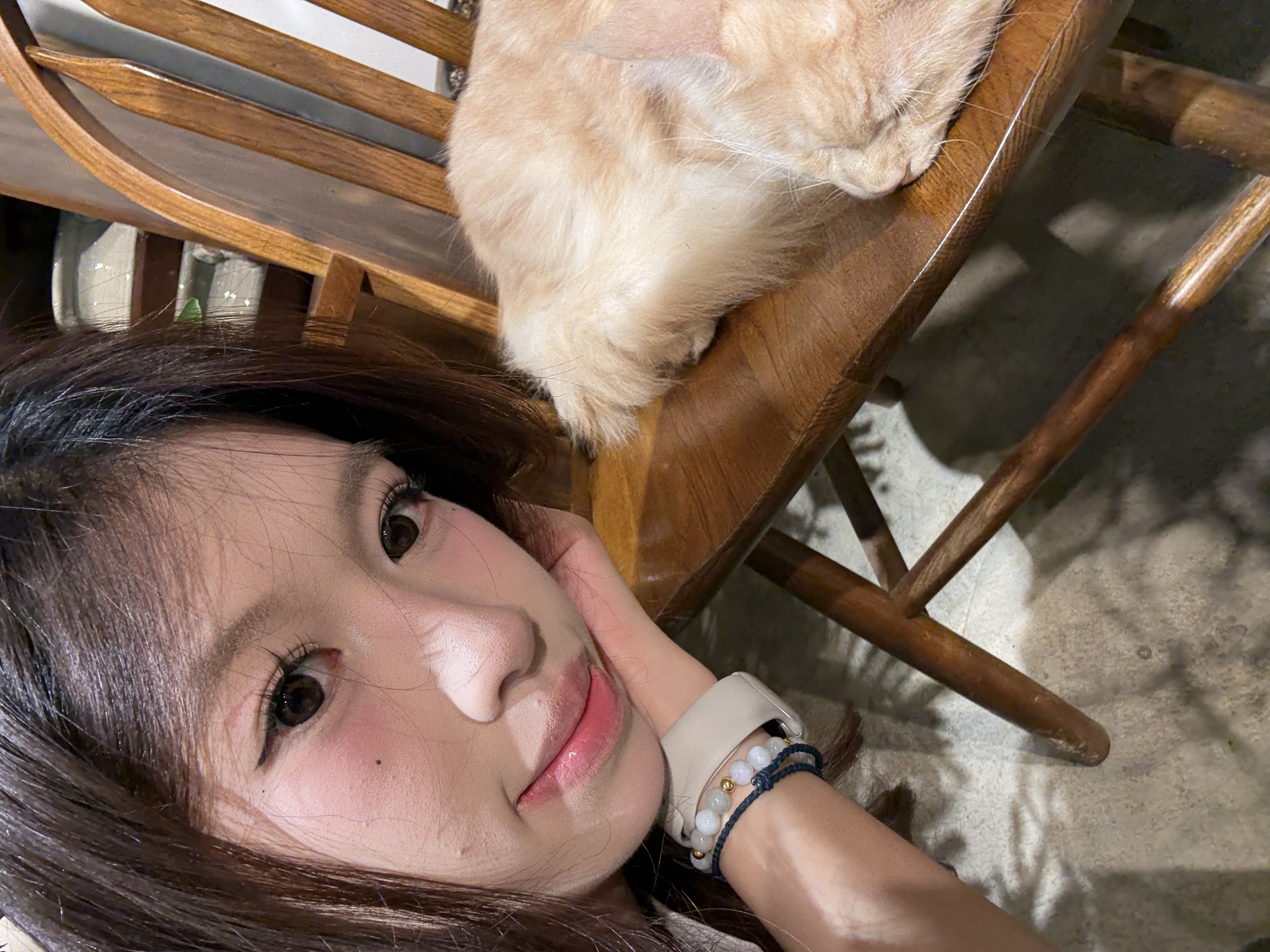 相片2